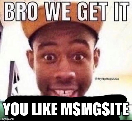 Bro we get it (blank) | You like msmgsite | image tagged in bro we get it blank | made w/ Imgflip meme maker