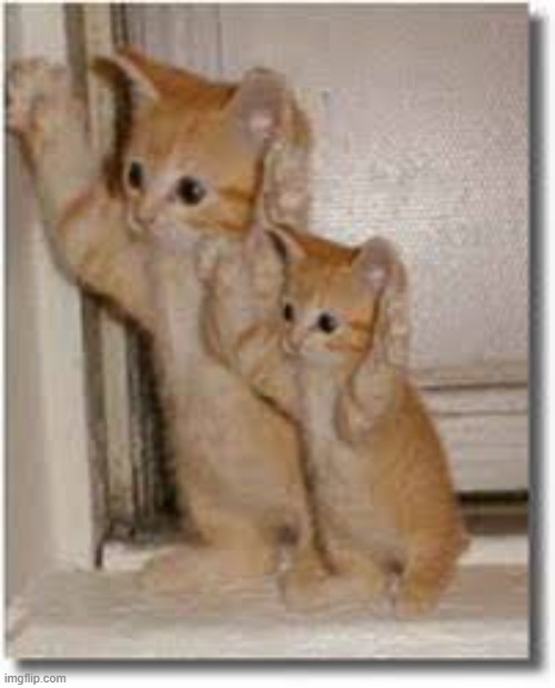 copycat 85% | image tagged in copycat 85 | made w/ Imgflip meme maker