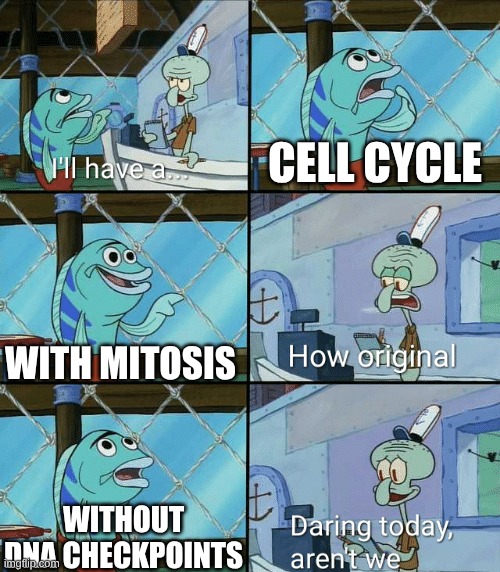 Daring today, aren't we squidward | Cell cycle; with mitosis; without DNA checkpoints | image tagged in daring today aren't we squidward | made w/ Imgflip meme maker