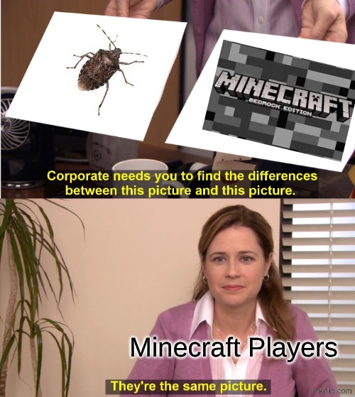 They're The Same Picture Meme | Minecraft Players | image tagged in memes,they're the same picture | made w/ Imgflip meme maker