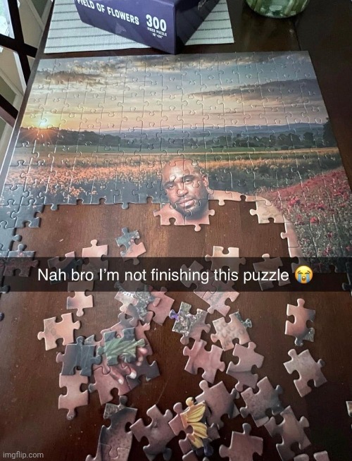 image tagged in shitpost | made w/ Imgflip meme maker