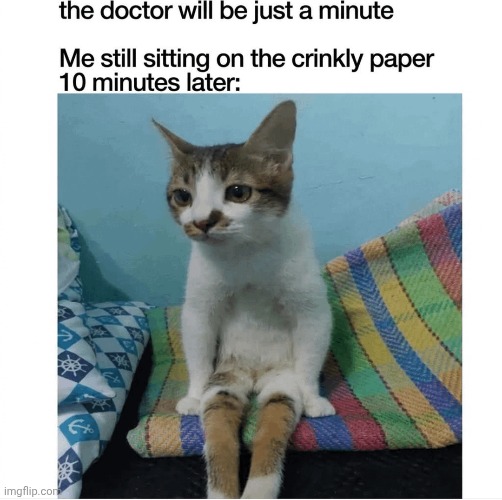 image tagged in shitpost | made w/ Imgflip meme maker