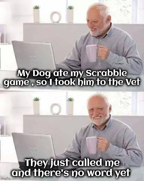 Alphabits | My Dog ate my Scrabble game , so I took him to the Vet; They just called me and there's no word yet | image tagged in memes,hide the pain harold,does your dog bite,man's best friend,help i accidentally | made w/ Imgflip meme maker