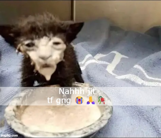 quar? | Nahhh jit tf gng 😭🙏🥀 | made w/ Imgflip meme maker