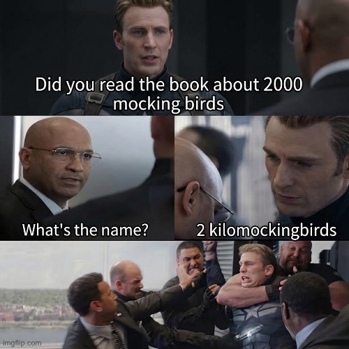 To Kill BC A Mockingbird | image tagged in img_4074 jpeg,bad pun,to kill a mockingbird | made w/ Imgflip meme maker