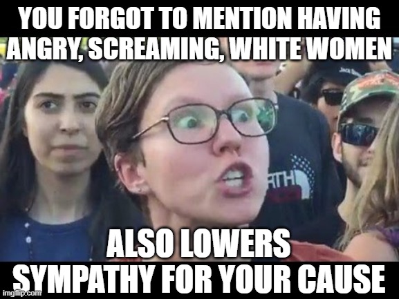 you forgot to mention having angry, screaming, white women also lowers sympathy for your cause | image tagged in angry sjw | made w/ Imgflip meme maker