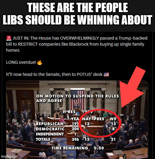 Every single person in Congress should be voting for this | These are the people libs should be whining about | image tagged in imo nv is the same as nay | made w/ Imgflip meme maker