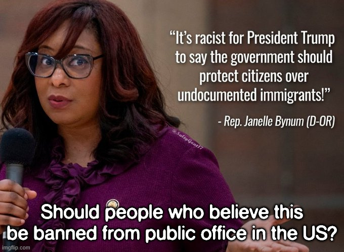 Politicians are elected to work for Americans and not illegals | Should people who believe this be banned from public office in the US? | image tagged in politicians,work for americans not illegals | made w/ Imgflip meme maker