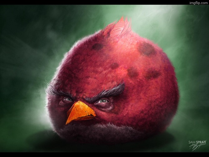 Realistic Angry Bird (big red) | image tagged in realistic angry bird big red | made w/ Imgflip meme maker