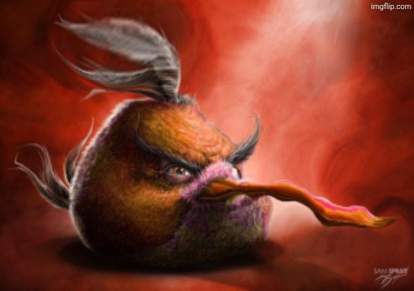 Realistic angry birds | image tagged in realistic angry birds | made w/ Imgflip meme maker