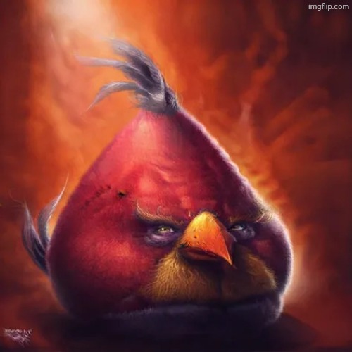Realistic angry bird | image tagged in realistic angry bird | made w/ Imgflip meme maker