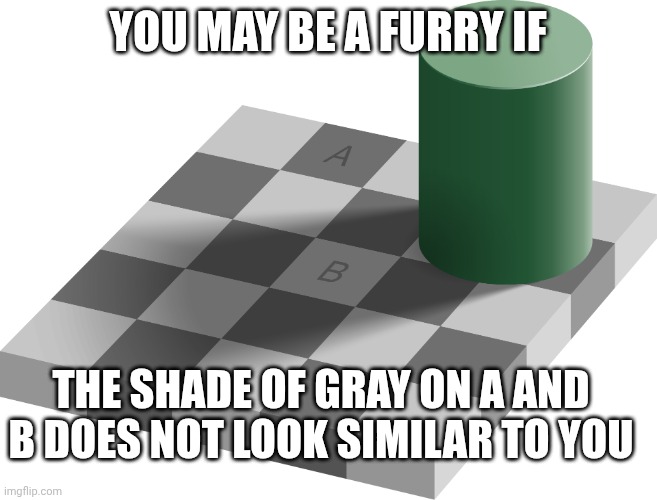 Quick and easy test | You may be a furry if; The shade of gray on a and b does not look similar to you | image tagged in furry,optical illusion | made w/ Imgflip meme maker