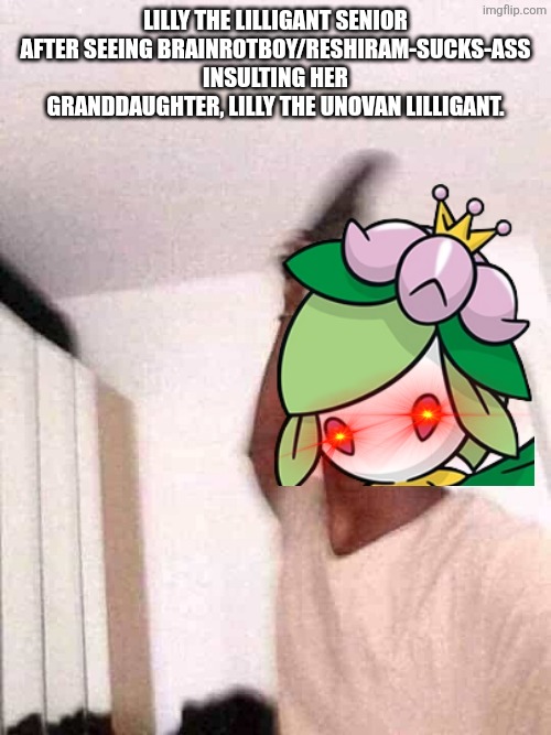 No one talks smack about her family. | Lilly the Lilligant Senior after seeing brainrotboy/reshiram-sucks-ass insulting her granddaughter, Lilly the Unovan Lilligant. | image tagged in guy slapping with flip flops,pokemon,family | made w/ Imgflip meme maker