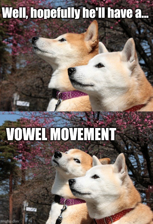 Bad pun dogs | Well, hopefully he'll have a... Vowel movement | image tagged in bad pun dogs | made w/ Imgflip meme maker