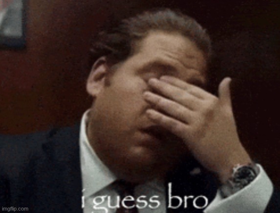 ban botslayer indefinitely he's too young to understand anything of substance | image tagged in i guess bro | made w/ Imgflip meme maker
