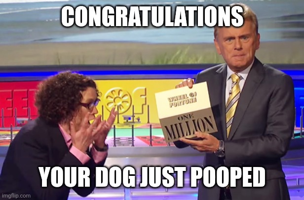 Wheel of Fortune Winner | Congratulations Your dog just pooped | image tagged in wheel of fortune winner | made w/ Imgflip meme maker
