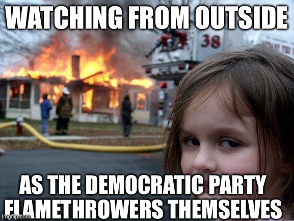 They brung it upon themselves | Watching from outside; As the Democratic Party flamethrowers themselves | image tagged in memes,disaster girl | made w/ Imgflip meme maker
