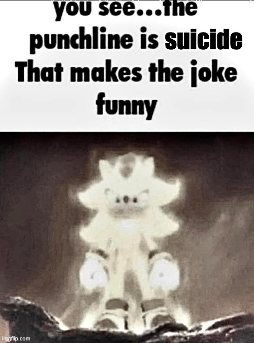 Shadow explains the joke | suicide | image tagged in shadow explains the joke | made w/ Imgflip meme maker