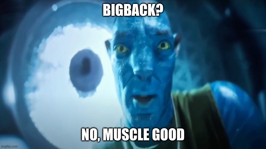 Muscle Meme version | BigBack? No, Muscle good | image tagged in staring avatar guy | made w/ Imgflip meme maker
