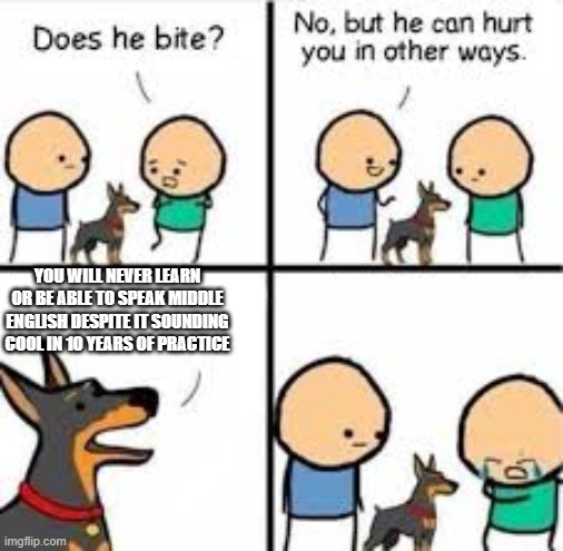 depression | YOU will never learn or be able to speak middle english despite it sounding cool in 10 years of practice | image tagged in he can hurt you in other ways | made w/ Imgflip meme maker