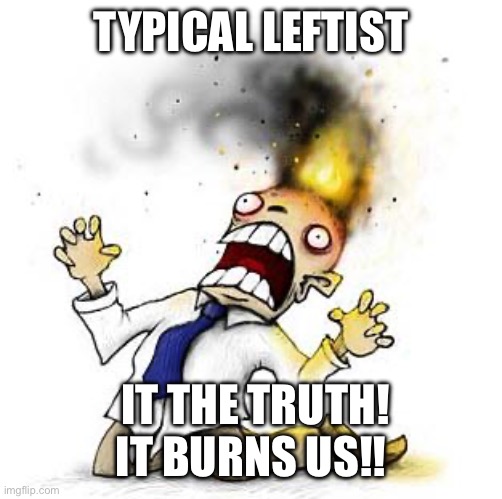 The Irony It Burns!!! | Typical leftist It the truth! It burns us!! | image tagged in the irony it burns | made w/ Imgflip meme maker