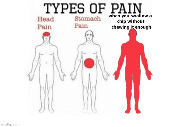 big companies are thinking of using chips instead of razor blades to save cost | when you swallow a 
chip without
 chewing it enough | image tagged in types of pain | made w/ Imgflip meme maker