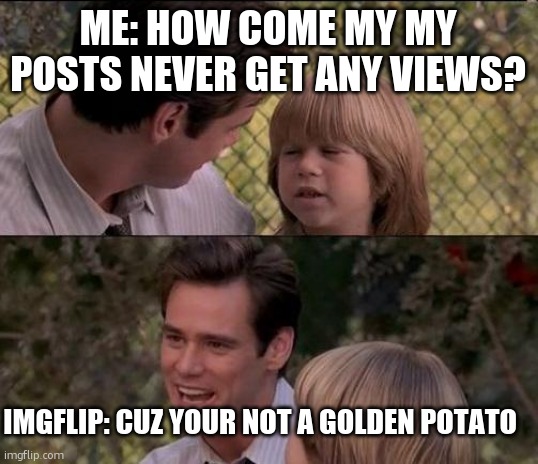why do those stupid posts get so many views... | ME: How come my my posts never get any views? IMGFLIP: Cuz your not a golden potato | image tagged in memes,that's just something x say | made w/ Imgflip meme maker