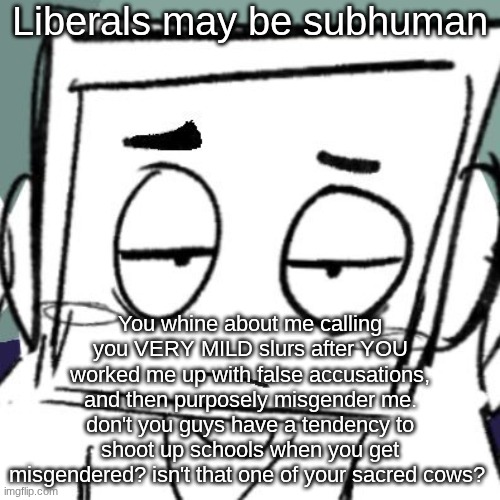 THis is targeted | Liberals may be subhuman; You whine about me calling you VERY MILD slurs after YOU worked me up with false accusations, and then purposely misgender me. don't you guys have a tendency to shoot up schools when you get misgendered? isn't that one of your sacred cows? | image tagged in icy depression | made w/ Imgflip meme maker