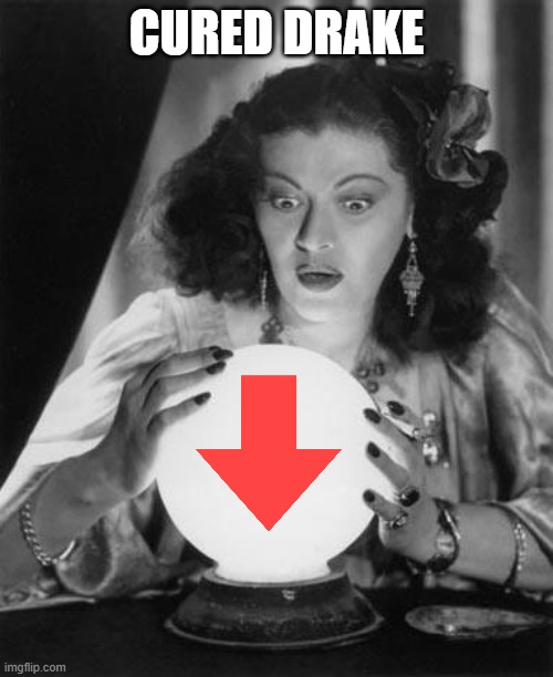 fortune teller | cured drake | image tagged in fortune teller | made w/ Imgflip meme maker