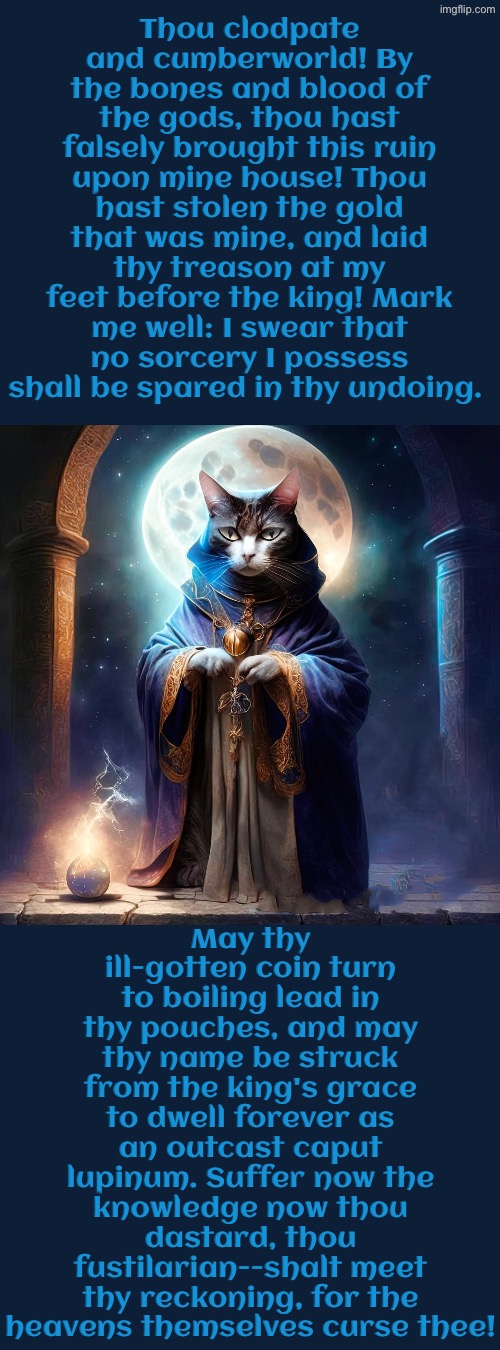 May Thy Ill-gotten Coin Turn To Boiling Lead | Thou clodpate and cumberworld! By the bones and blood of the gods, thou hast falsely brought this ruin upon mine house! Thou hast stolen the gold that was mine, and laid thy treason at my feet before the king! Mark me well: I swear that no sorcery I possess shall be spared in thy undoing. May thy ill-gotten coin turn to boiling lead in thy pouches, and may thy name be struck from the king's grace to dwell forever as an outcast caput lupinum. Suffer now the knowledge now thou dastard, thou fustilarian--shalt meet thy reckoning, for the heavens themselves curse thee! | image tagged in cats,wizards,cursed,treason,stealing,medieval memes | made w/ Imgflip meme maker