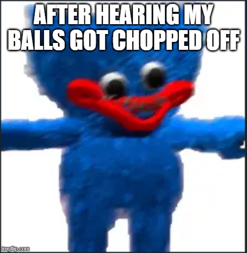 Huggy Sad | After Hearing my balls got chopped off | image tagged in poppy playtime | made w/ Imgflip meme maker
