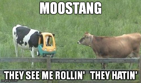 MOOSTANG  THEY SEE ME ROLLIN'   THEY HATIN' | made w/ Imgflip meme maker