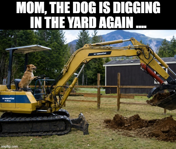 dog digging | mom, the dog is digging in the yard again .... | image tagged in memes | made w/ Imgflip meme maker