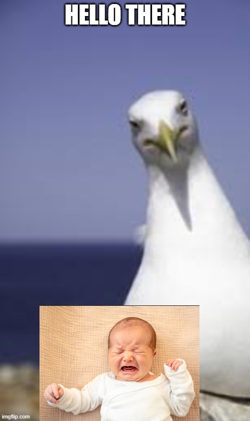 hello there | image tagged in screenshot 2026-05-20 135447 png | made w/ Imgflip meme maker