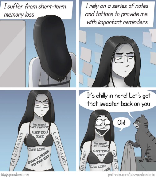 image tagged in memory loss,short term memory loss,notes,tattoos,cat,lol | made w/ Imgflip meme maker