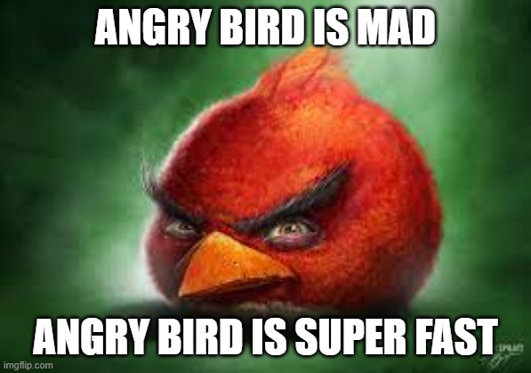 angry bird | angry bird is mad; angry bird is super fast | image tagged in realistic red angry birds | made w/ Imgflip meme maker