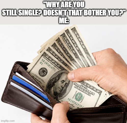 single | "why are you still single? doesn't that bother you?"
me: | image tagged in memes | made w/ Imgflip meme maker