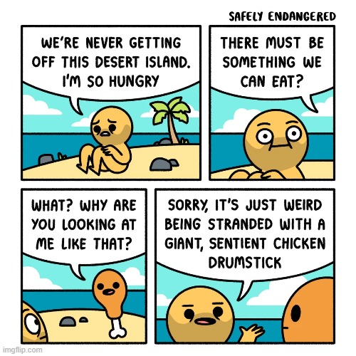 image tagged in desert,island,stranded,hungry,chicken,sentient | made w/ Imgflip meme maker