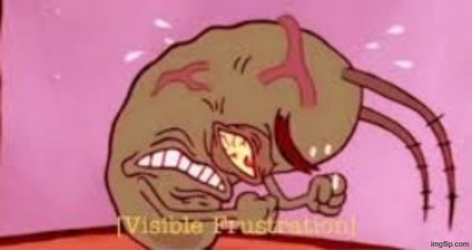 Visible Frustration | image tagged in visible frustration | made w/ Imgflip meme maker