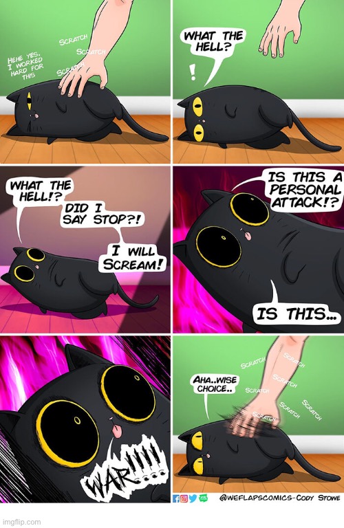 WeFlaps | image tagged in cats,comics,weflaps,coral,petting,mixed signals | made w/ Imgflip meme maker