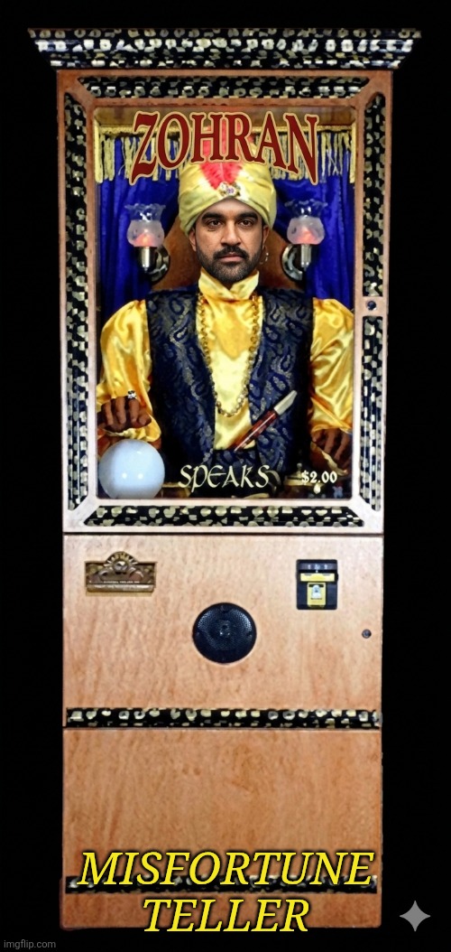 Mamdani | Misfortune teller | image tagged in mamdani | made w/ Imgflip meme maker