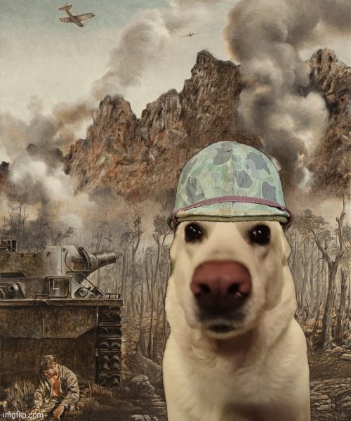 Thousand Yard Stare (No Soldier) | image tagged in thousand yard stare no soldier | made w/ Imgflip meme maker