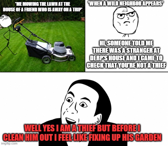 when people ask stupid questions | *when a wild neighbor appears*; *Me mowing the lawn at the house of a friend who is away on a trip*; Hi, someone told me there was a stranger at derp's house and I came to check that you’re not a thief; Well yes I am a thief but before I clean him out I feel like fixing up his garden | image tagged in you don't say,memes | made w/ Imgflip meme maker