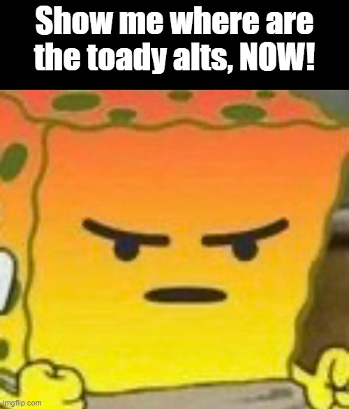 plis toady alts | Show me where are the toady alts, NOW! | image tagged in spongebob mad emoji,toady alts | made w/ Imgflip meme maker