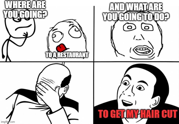 when people ask stupid questions | Where are you going? And what are you going to do? To a restaurant; To get my hair cut | image tagged in you don't say,memes | made w/ Imgflip meme maker