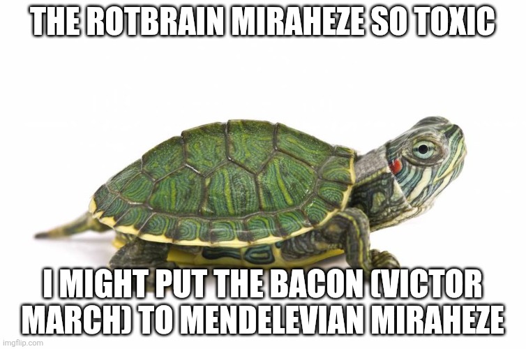 Turtle | The rotbrain miraheze so toxic; I might put the bacon (victor march) to mendelevian miraheze | made w/ Imgflip meme maker