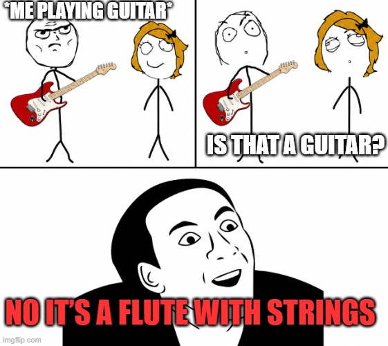 when people ask stupid questions | *Me playing guitar*; Is that a guitar? No it’s a flute with strings | image tagged in you don't say,memes | made w/ Imgflip meme maker