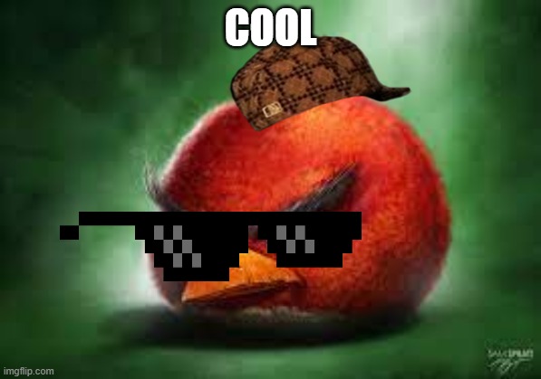 cool | cool | image tagged in realistic red angry birds | made w/ Imgflip meme maker