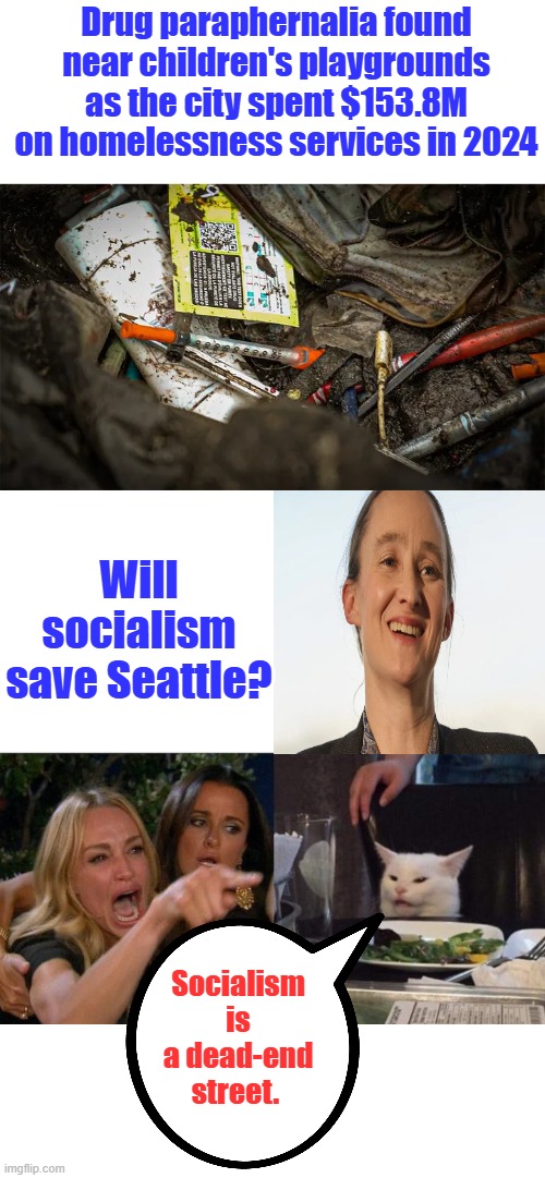 Drug paraphernalia found near children's playgrounds as the city spent $153.8M on homelessness services in 2024; Will socialism save Seattle? Socialism is a dead-end street. | image tagged in memes,woman yelling at cat | made w/ Imgflip meme maker
