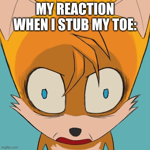 It is bruising... | My reaction when i stub my toe: | image tagged in tails had enough | made w/ Imgflip meme maker